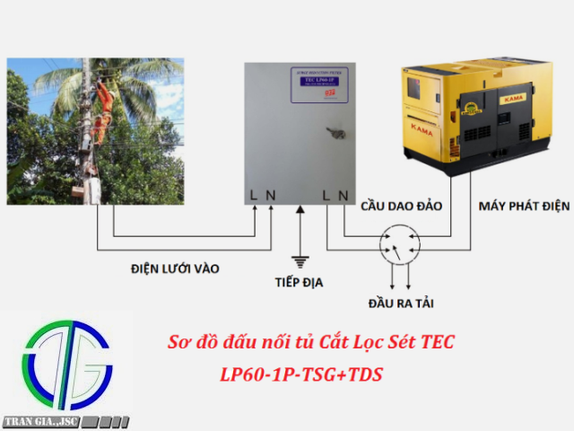 TEC-LP60-1P-TSG-TDS2.png